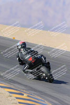 media/Nov-12-2023-SoCal Trackdays (Sun) [[5d1fba4e7d]]/Turn 10 Backside (115pm)/